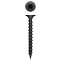 #8 Strong-Point Bugle Head 8 x 2-1/2, SQ, Coarse, Phosphate