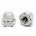 #8-32 Stainless Steel Acorn Nuts