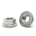 M6-1.0 A2-70 Stainless Steel Serrated Hex Flange Nuts